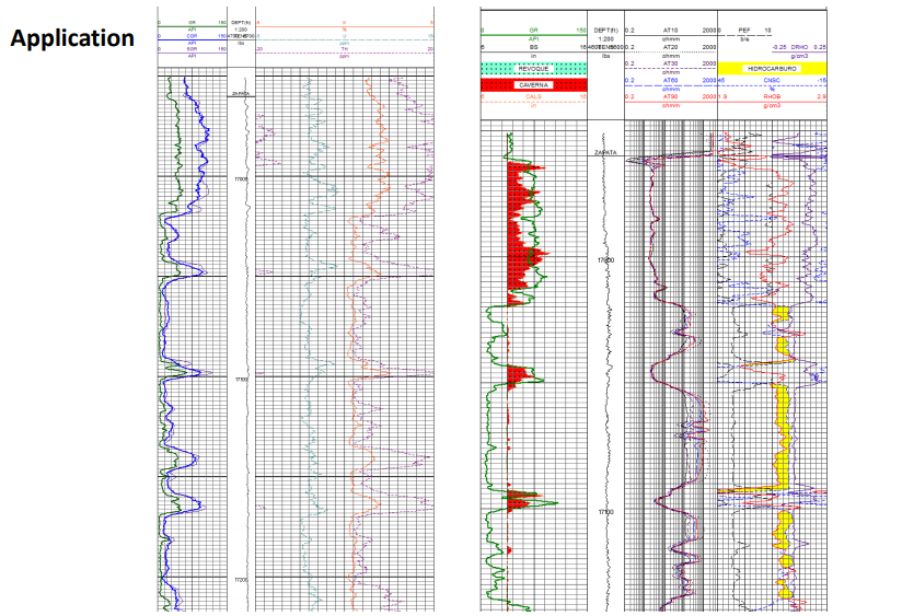 LITHO DENSITY LOGGING TOOL (LDLT)